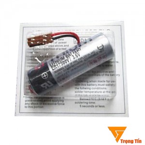 Pin ER17500 Toshiba